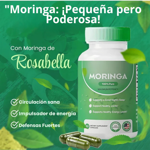 MORINGA ROSABELLA